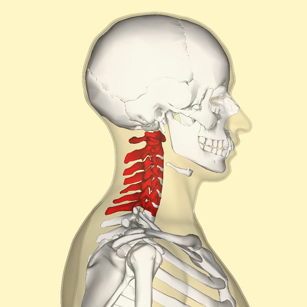 مهره های گردنی