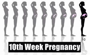 هفته دهم بارداری