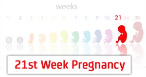 هفته بیست و یکم بارداری ؛ ظهور رگ های واریسی و افزایش خطر عفونت ادراری | کافه پزشکی