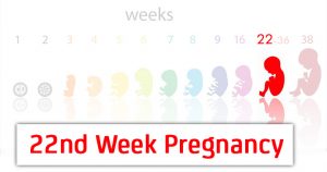 هفته بیست و دوم بارداری ؛ جنین اکنون ۲۰ سانتی متر طول و ۵۰۰ گرم وزن دارد! | کافه پزشکی