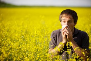 بیماری تب یونجه یا رینیت آلرژیک Hay fever چیست ؟ | کافه پزشکی