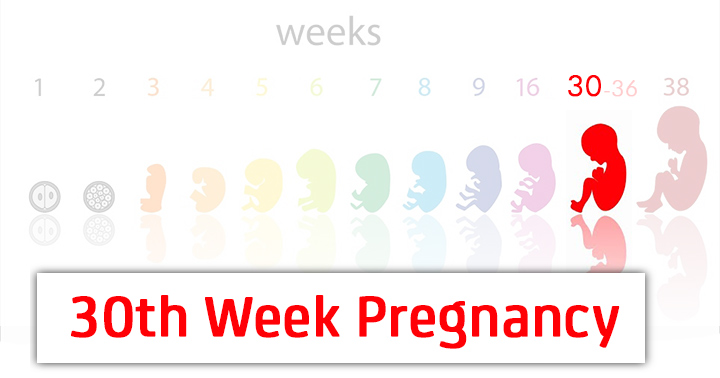 هفته سی ام بارداری