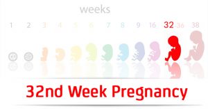 هفته سی و دوم بارداری ؛ کودک اکنون ۲ کیلوگرم وزن دارد | کافه پزشکی