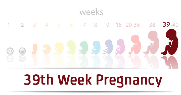 هفته سی و نهم بارداری