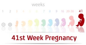 هفته چهل و یکم بارداری ؛ پایان داستان هیجان انگیز بارداری | کافه پزشکی