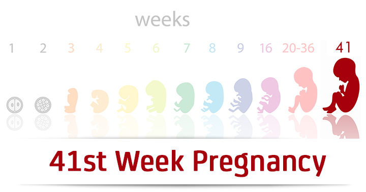 هفته چهل و یکم بارداری
