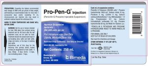 اطلاعات دارویی : پروکائین پنی سیلین جی Procaine Penicillin G | کافه پزشکی