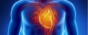بیهوشی در بیماری های قلبی عروقی ؛ نکات و داروها | کافه پزشکی
