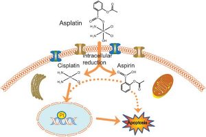 اطلاعات دارویی : سیس پلاتین Cisplatin | کافه پزشکی