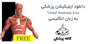 دانلود نرم افزار آناتومی سه بعدی Visual Anatomy Free برای اندروید | کافه پزشکی
