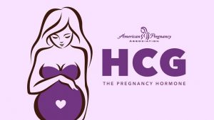 هورمون HCG چیست و سطح بالا و پایین آن چه چیزی را نشان می دهد ؟ | کافه پزشکی