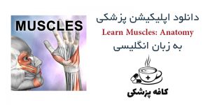 دانلود اپلیکیشن آناتومی عضلات Learn Muscles: Anatomy برای اندروید | کافه پزشکی