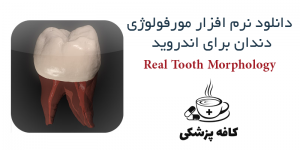 دانلود نرم افزار مورفولوژی دندان Real Tooth Morphology برای اندروید | کافه پزشکی