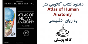 دانلود کتاب اطلس آناتومی نتر Atlas of Human Anatomy 6th | کافه پزشکی