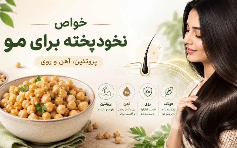 خواص نخود پخته برای مو؛ آیا نخود باعث رشد و پرپشتی مو می‌شود؟