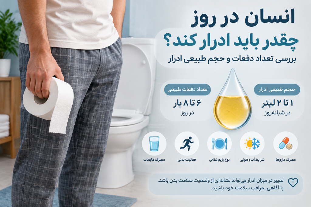 انسان در روز چقدر باید ادرار کند؟ بررسی تعداد دفعات و حجم طبیعی ادرار